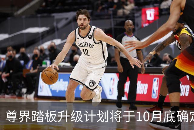 尊界踏板升级计划将于10月底确定，11月开始实施
